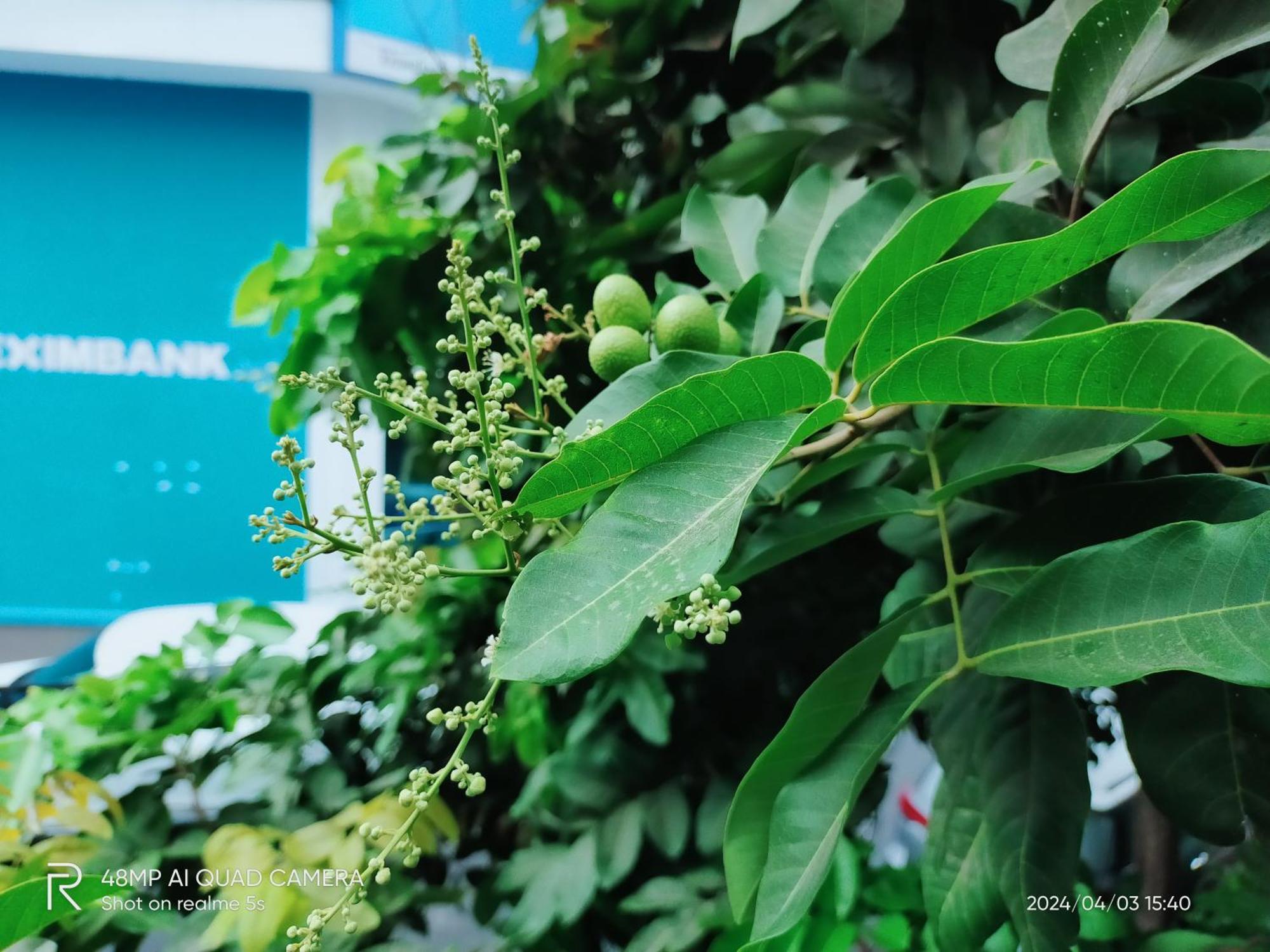 Shusimi House & Boutique Near Tan Son Nhat Airport Хошимін Екстер'єр фото